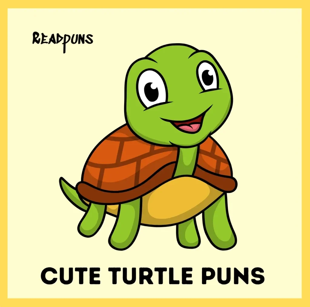 Cute turtle puns