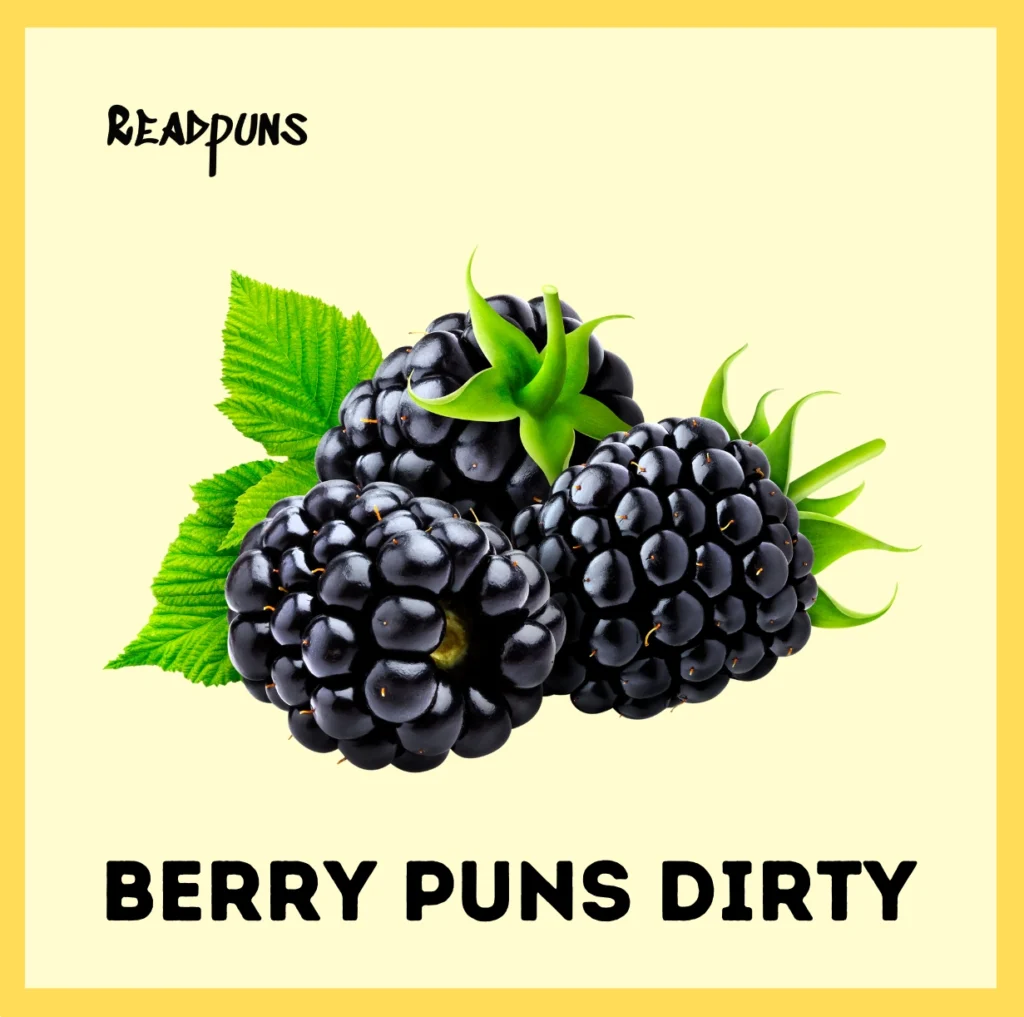 Berry Puns Dirty