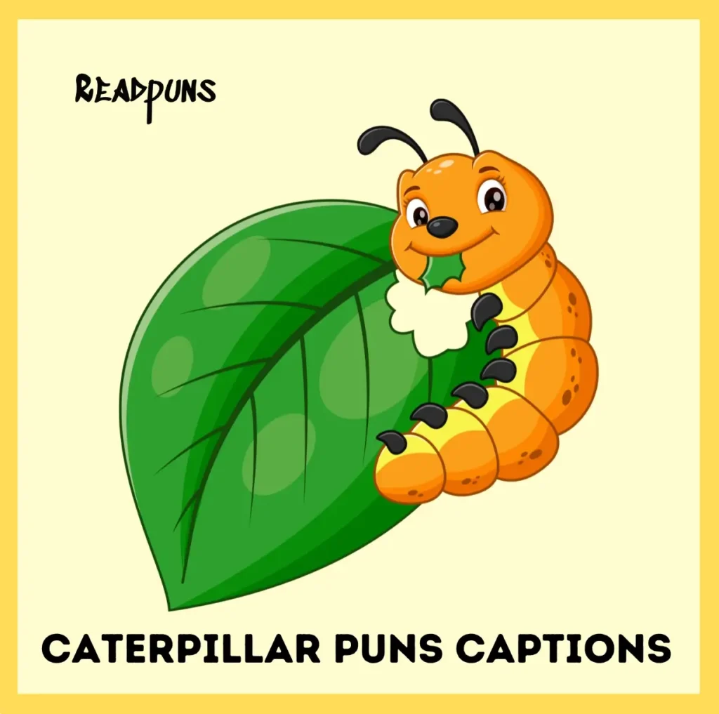 Caterpillar Puns Captions