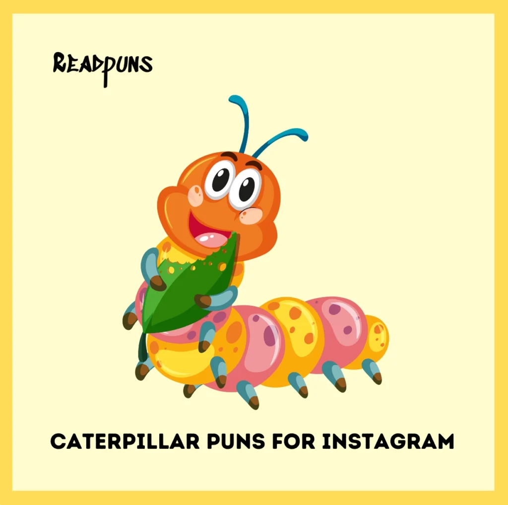 Caterpillar Puns for Instagram
