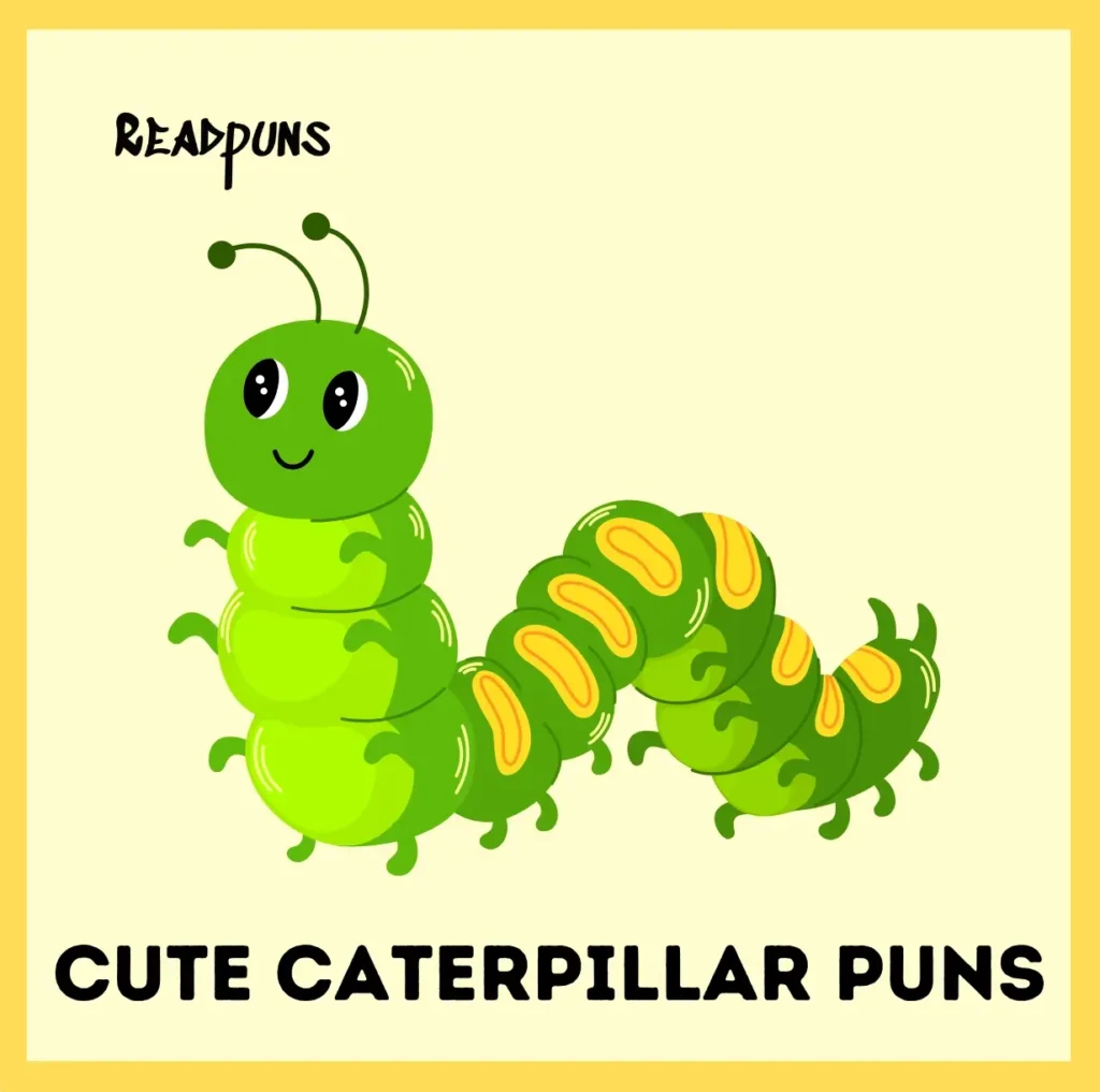 Cute Caterpillar Puns