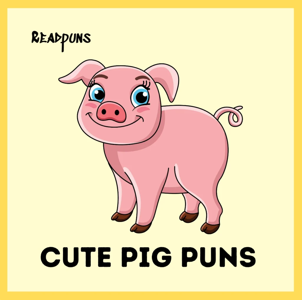 Cute pig puns