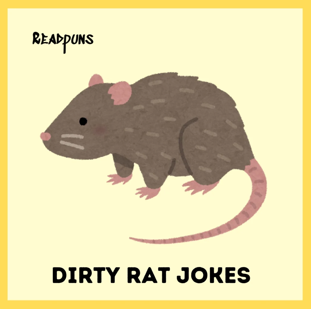 Dirty rat jokes