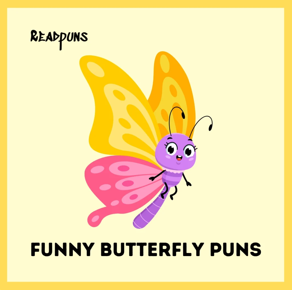 Funny Butterfly Puns