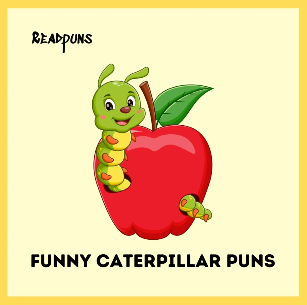 Funny Caterpillar Puns