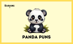 Panda Puns
