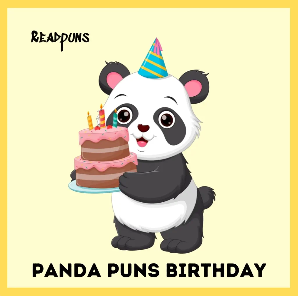 Panda Puns Birthday