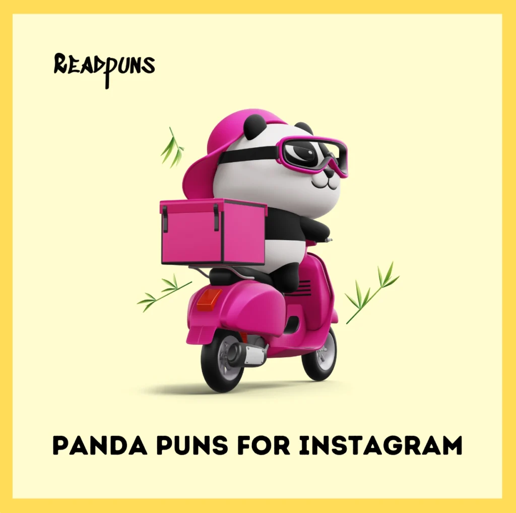 Panda puns for instagram