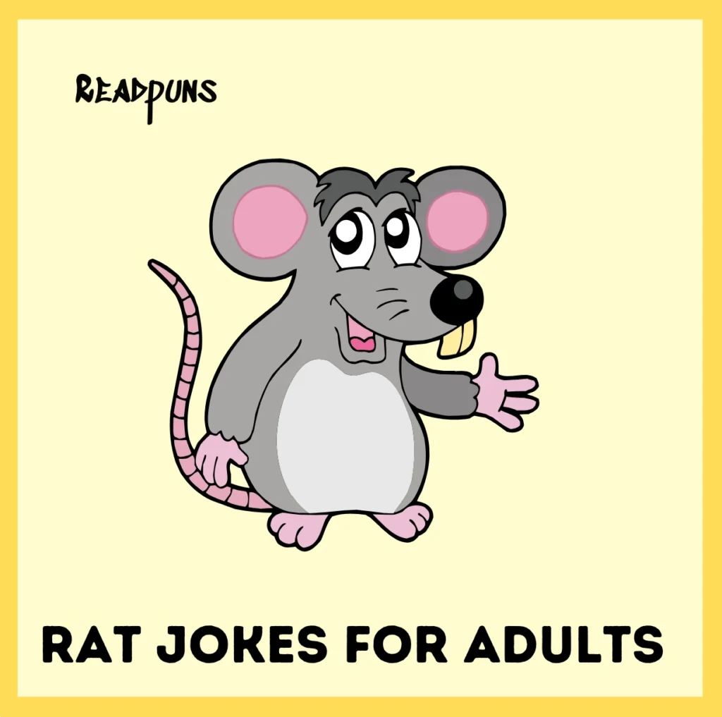 Rat jokes for adults
