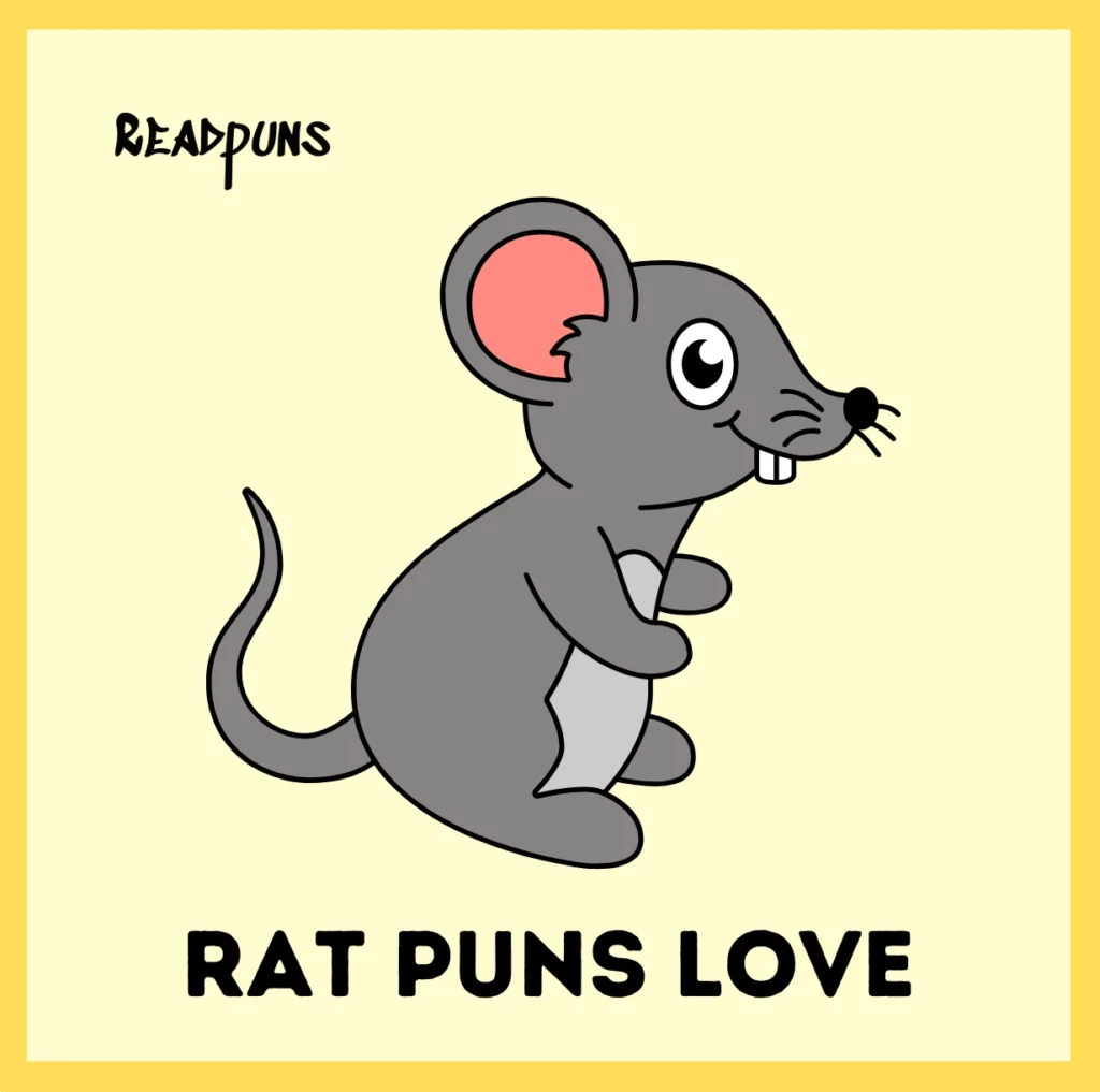 Rat puns love