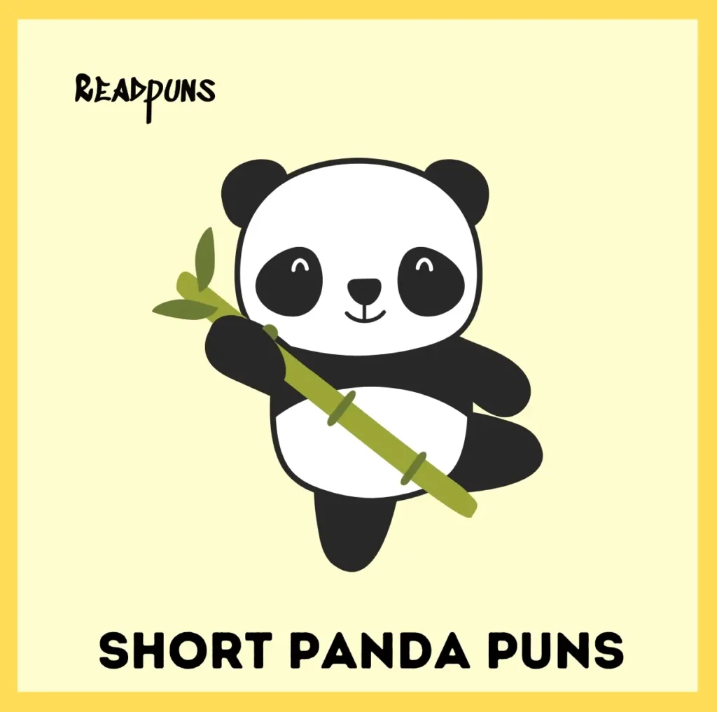 Short Panda Puns
