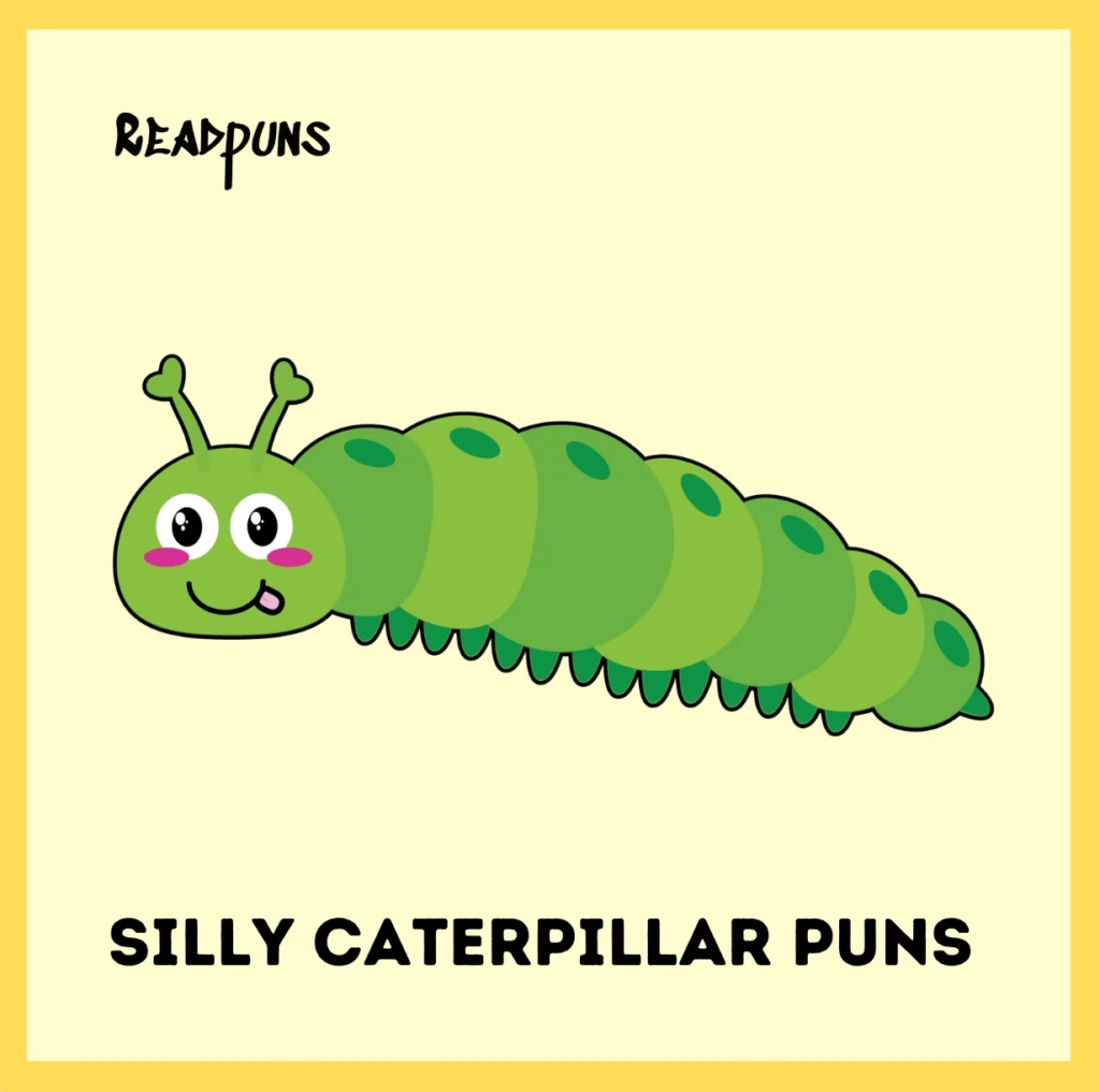 Silly Caterpillar Puns