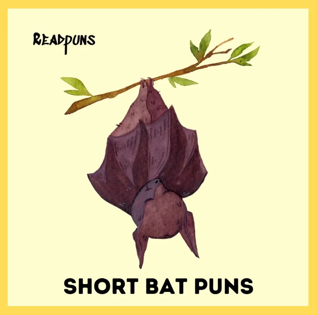 Short Bat Puns 
