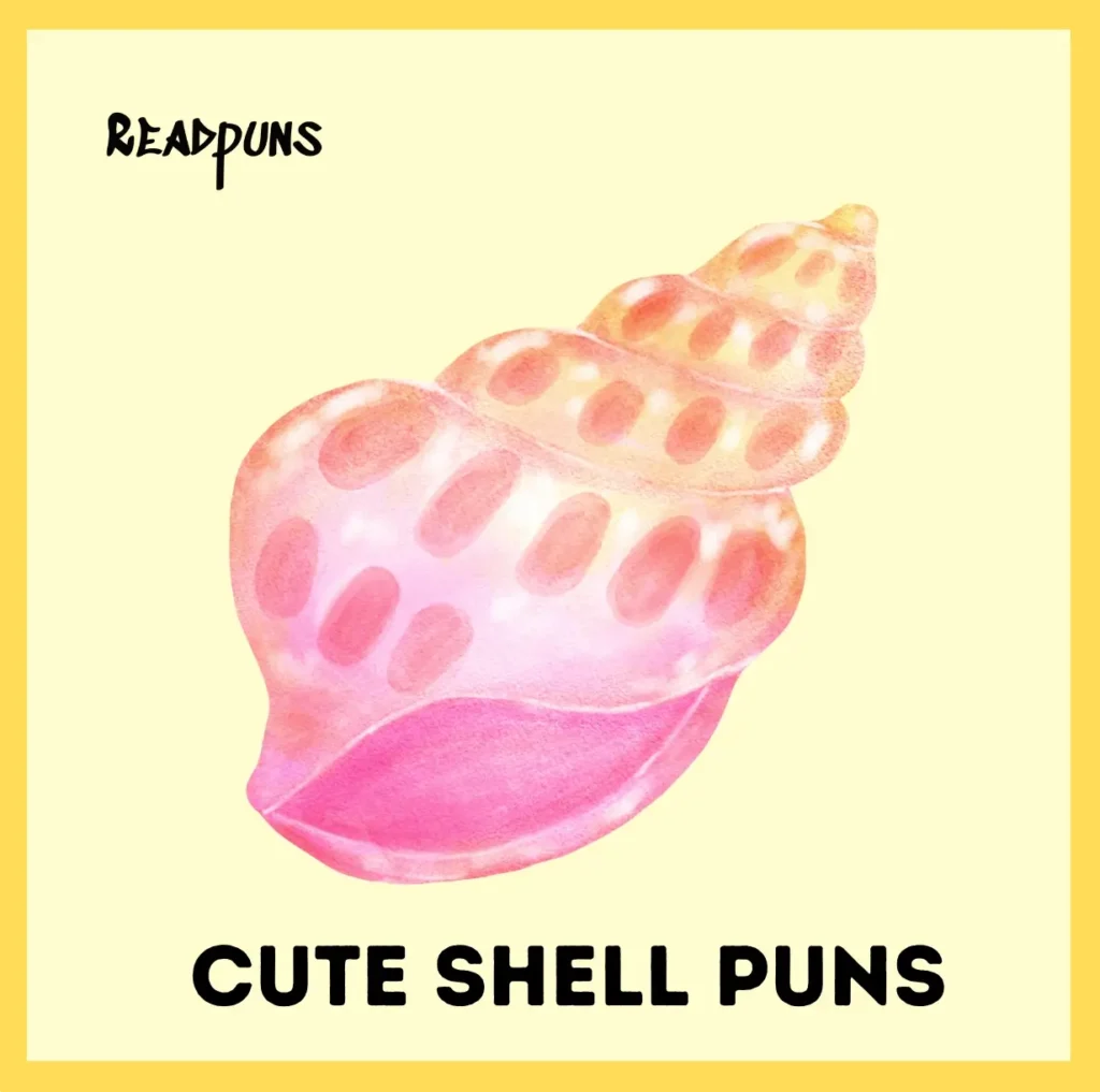 Cute Shell Puns