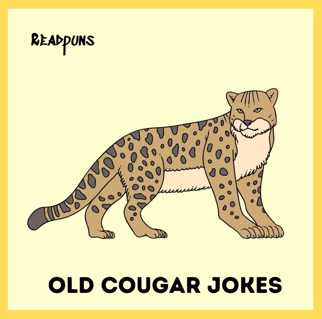 Old Cougar Jokes