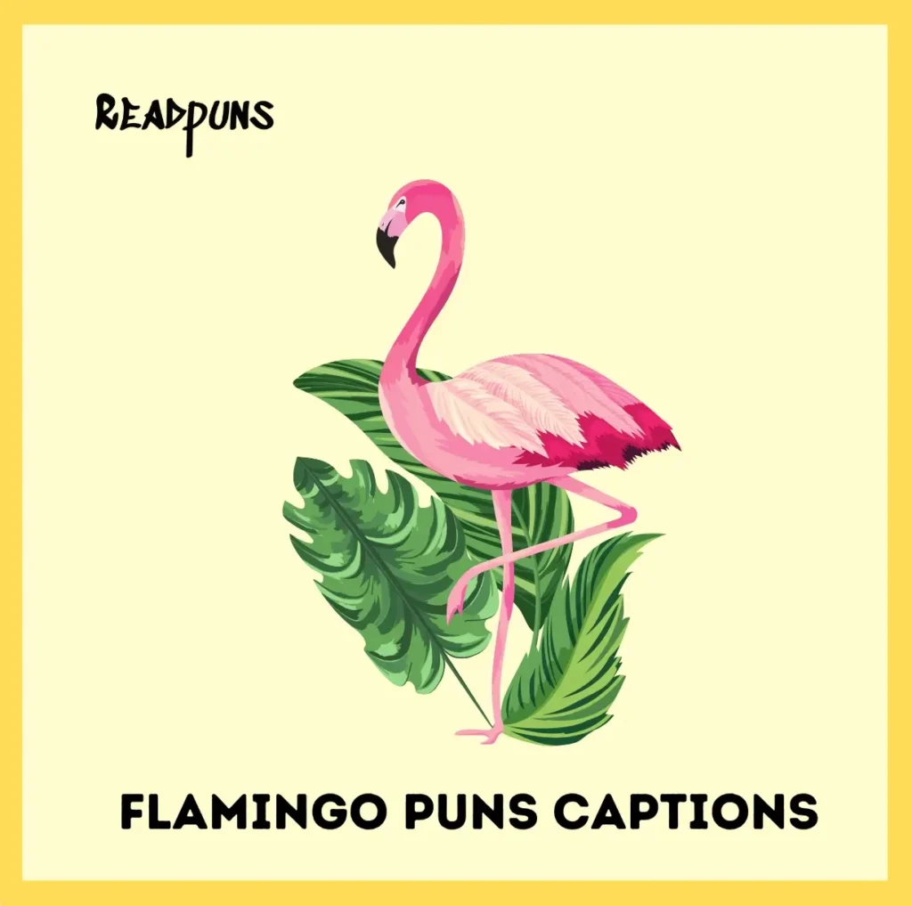 Flamingo Puns Captions