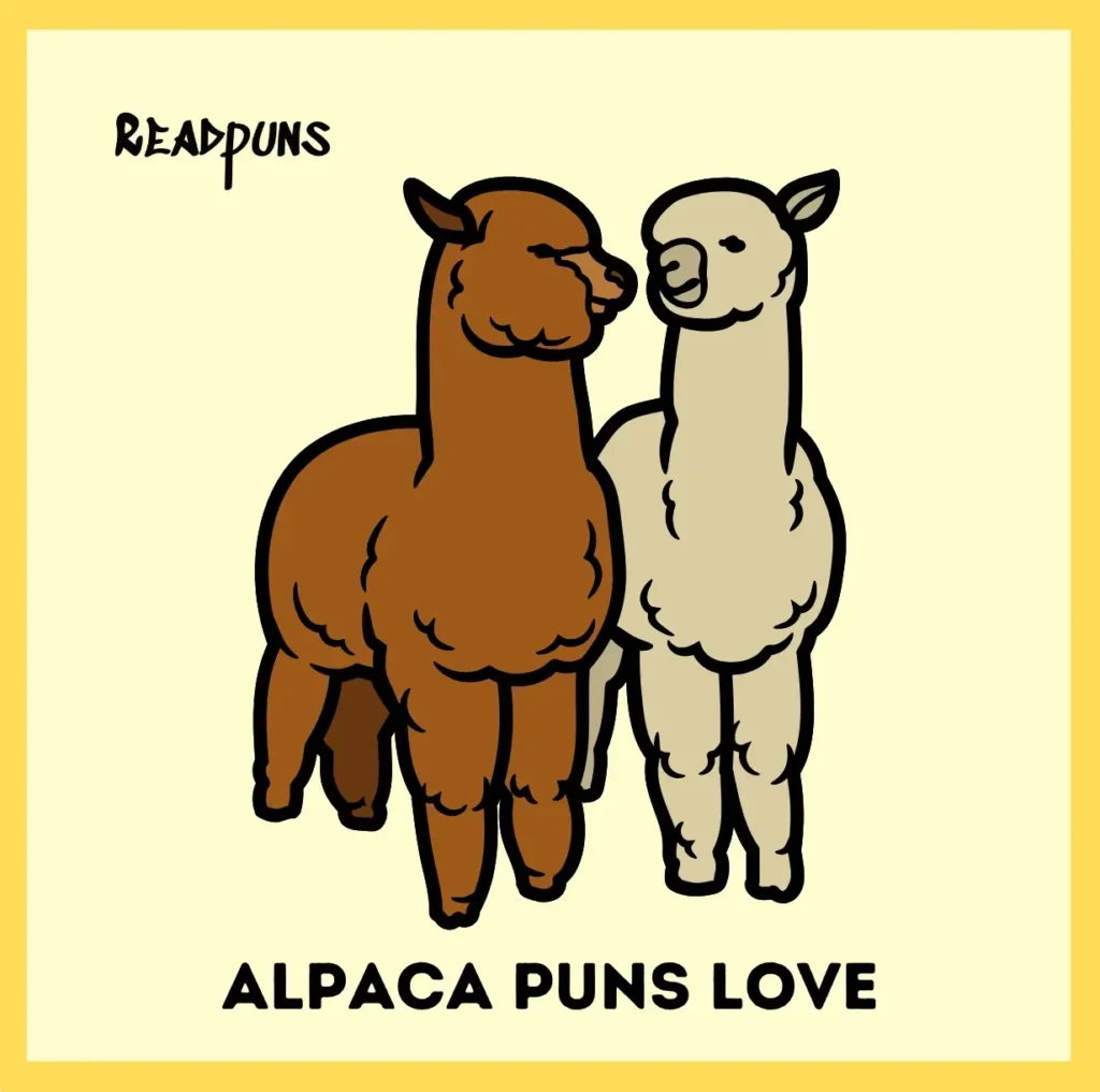 Alpaca Puns Love
