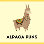 Alpaca Puns