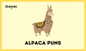 Alpaca Puns