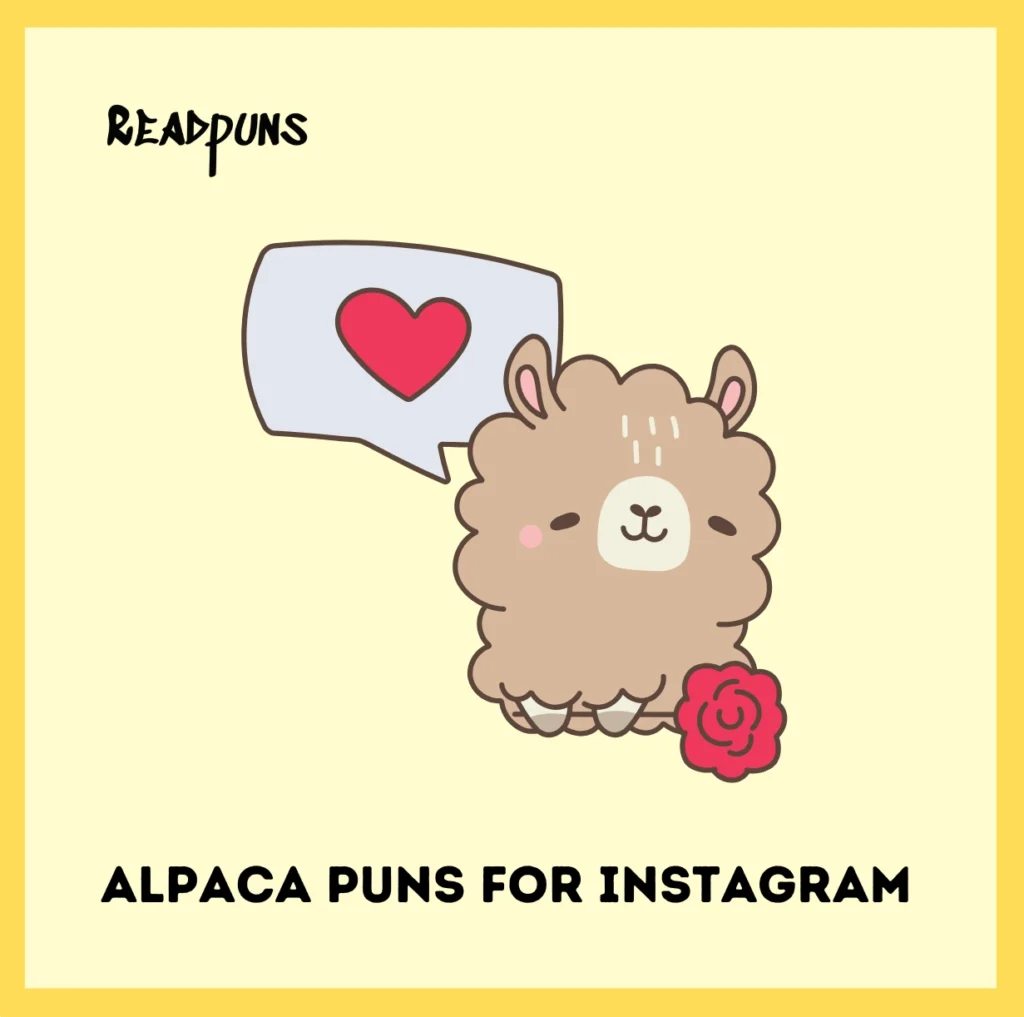 Alpaca Puns For Instagram