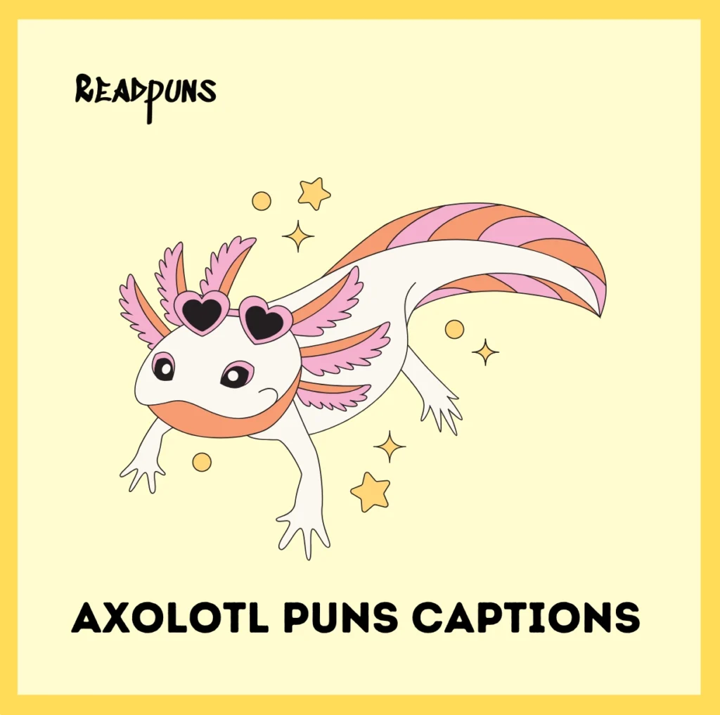 Axolotl Puns Captions