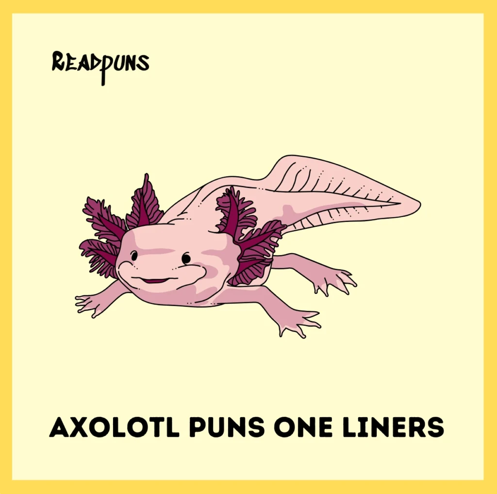 Axolotl Puns One Liners