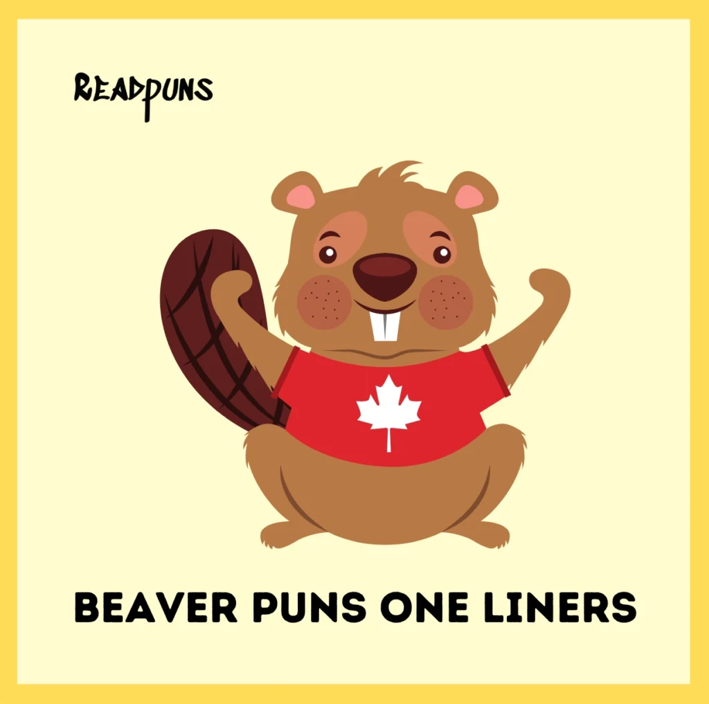 Beaver Puns One Liners