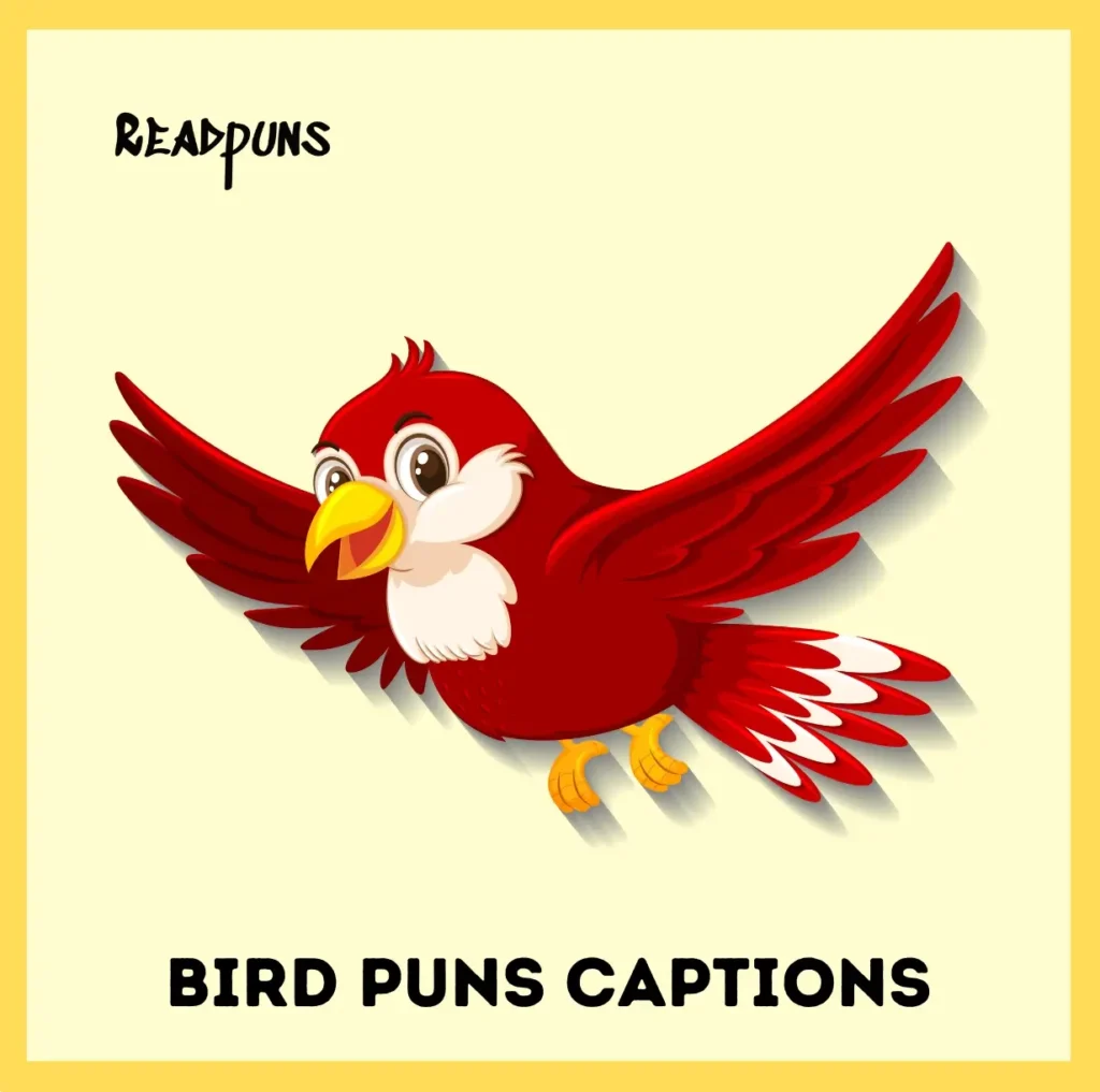 Bird Puns Captions