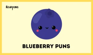 Blueberry Puns