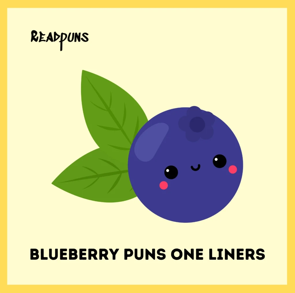 Blueberry Puns One Liners