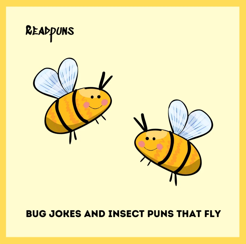 Bug Jokes and Insect Puns That Fly
