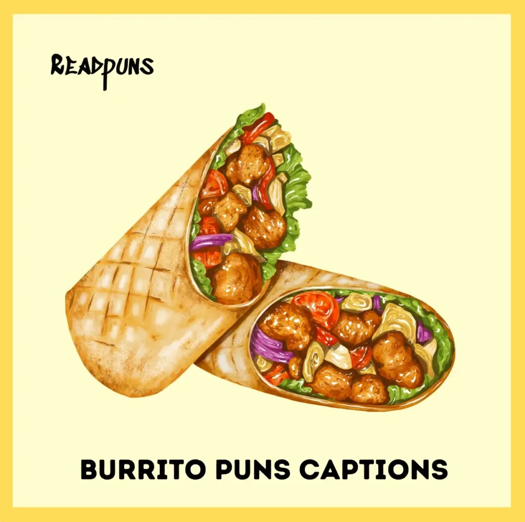  Burrito Puns Captions