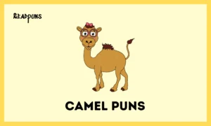 Camel Puns