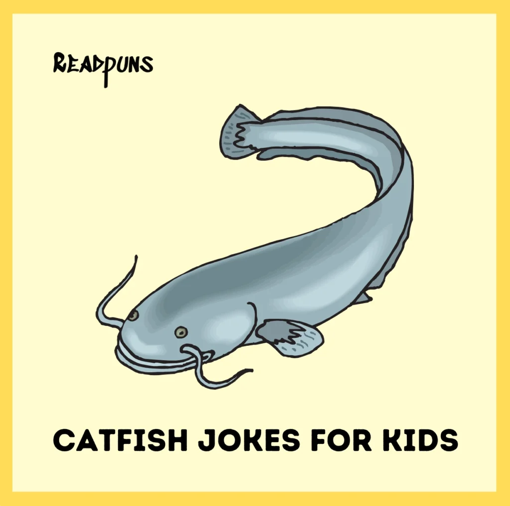 Catfish jokes for Kids