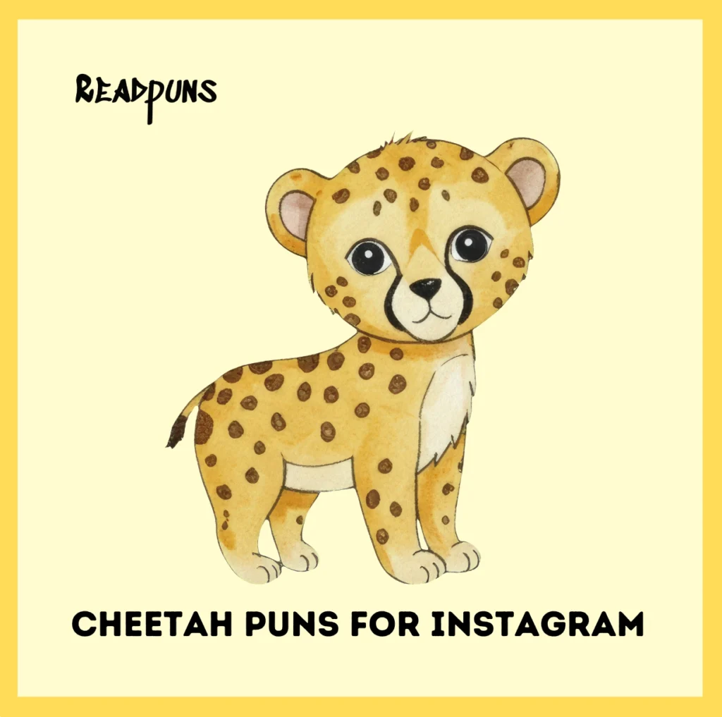 Cheetah Puns for Instagram