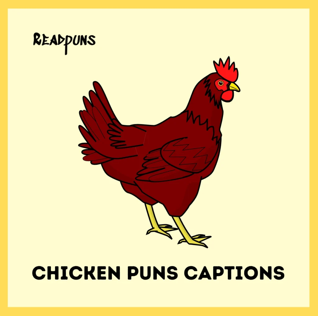 Chicken Puns Captions