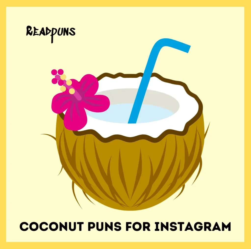 Coconut Puns For Instagram