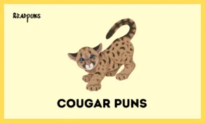 Cougar Puns