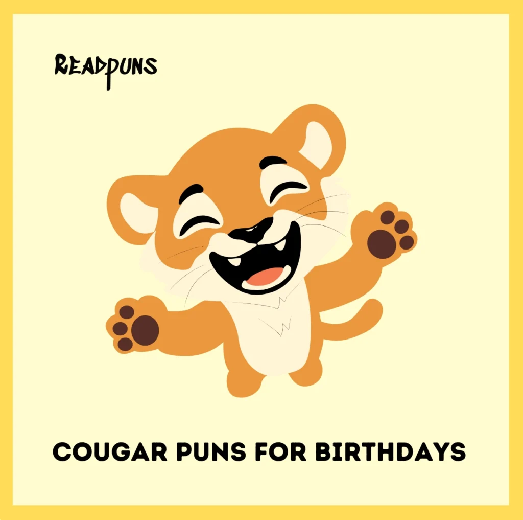 Cougar Puns for Birthdays