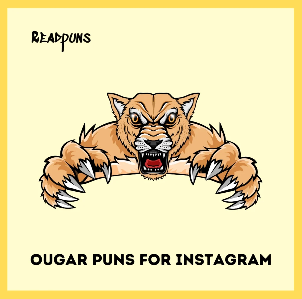 cougar Puns for Instagram