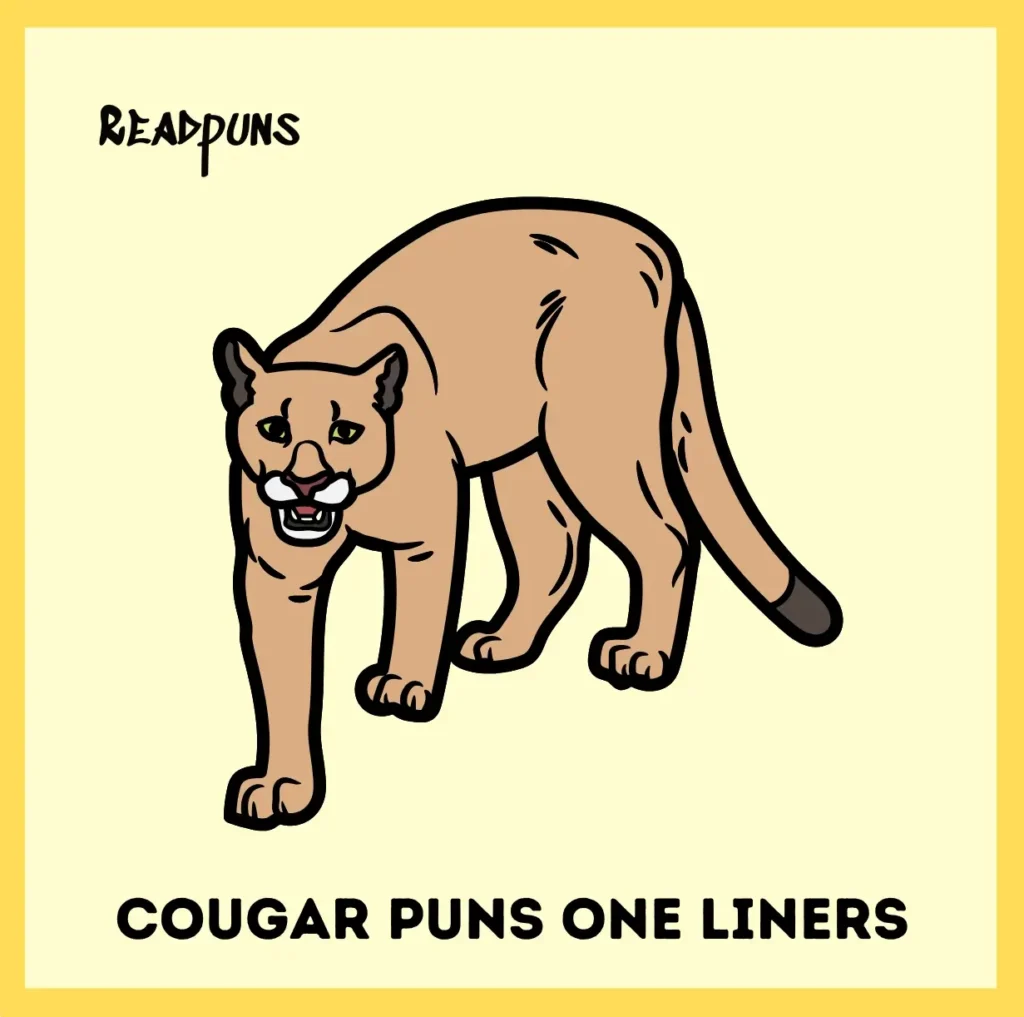 Cougar Puns One Liners