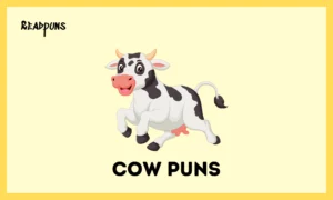 Cow Puns