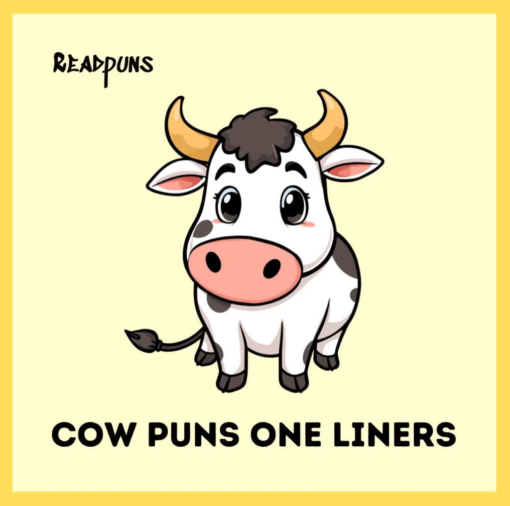Cow puns one liners