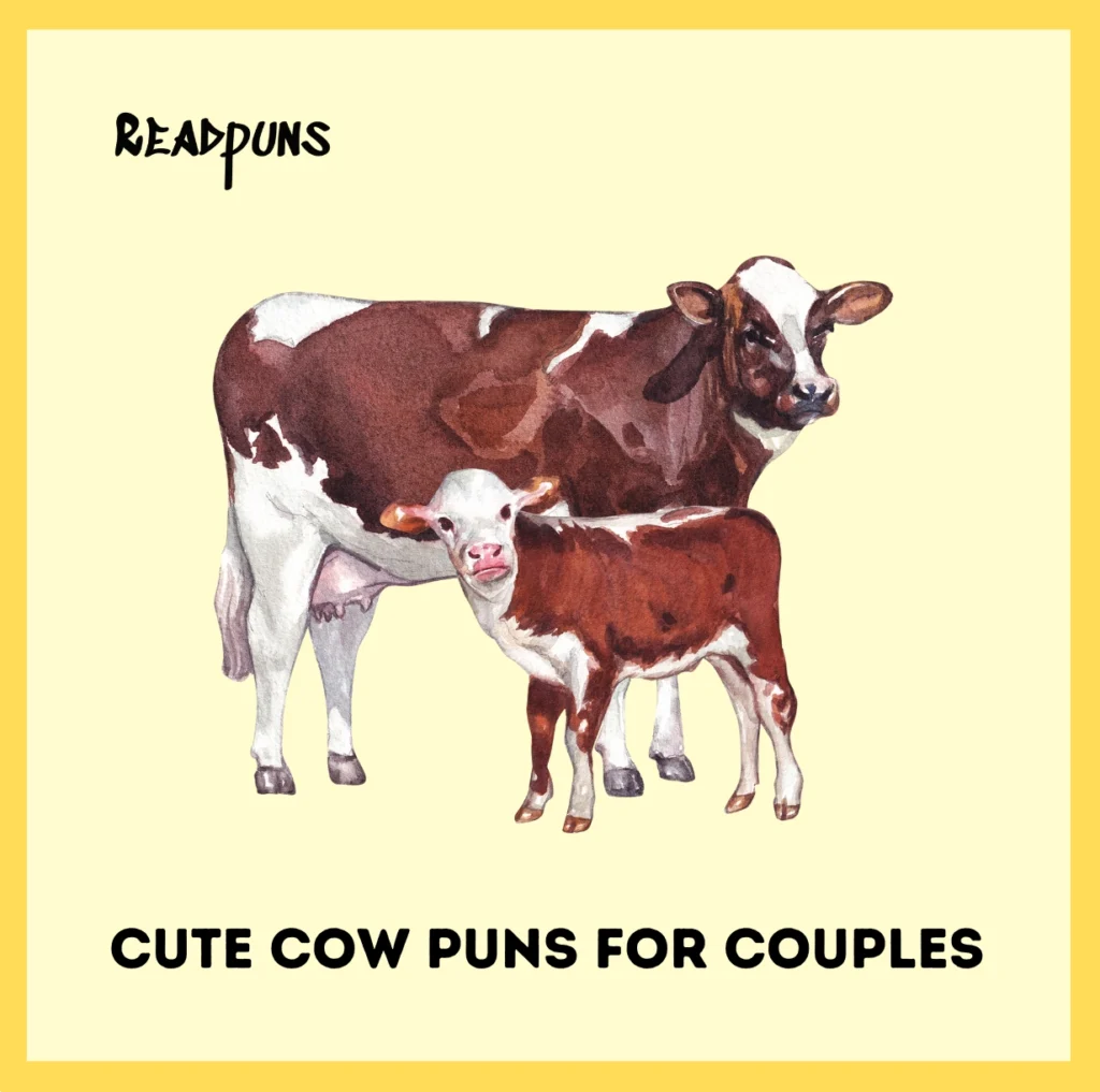 Cute Cow Puns for Couples