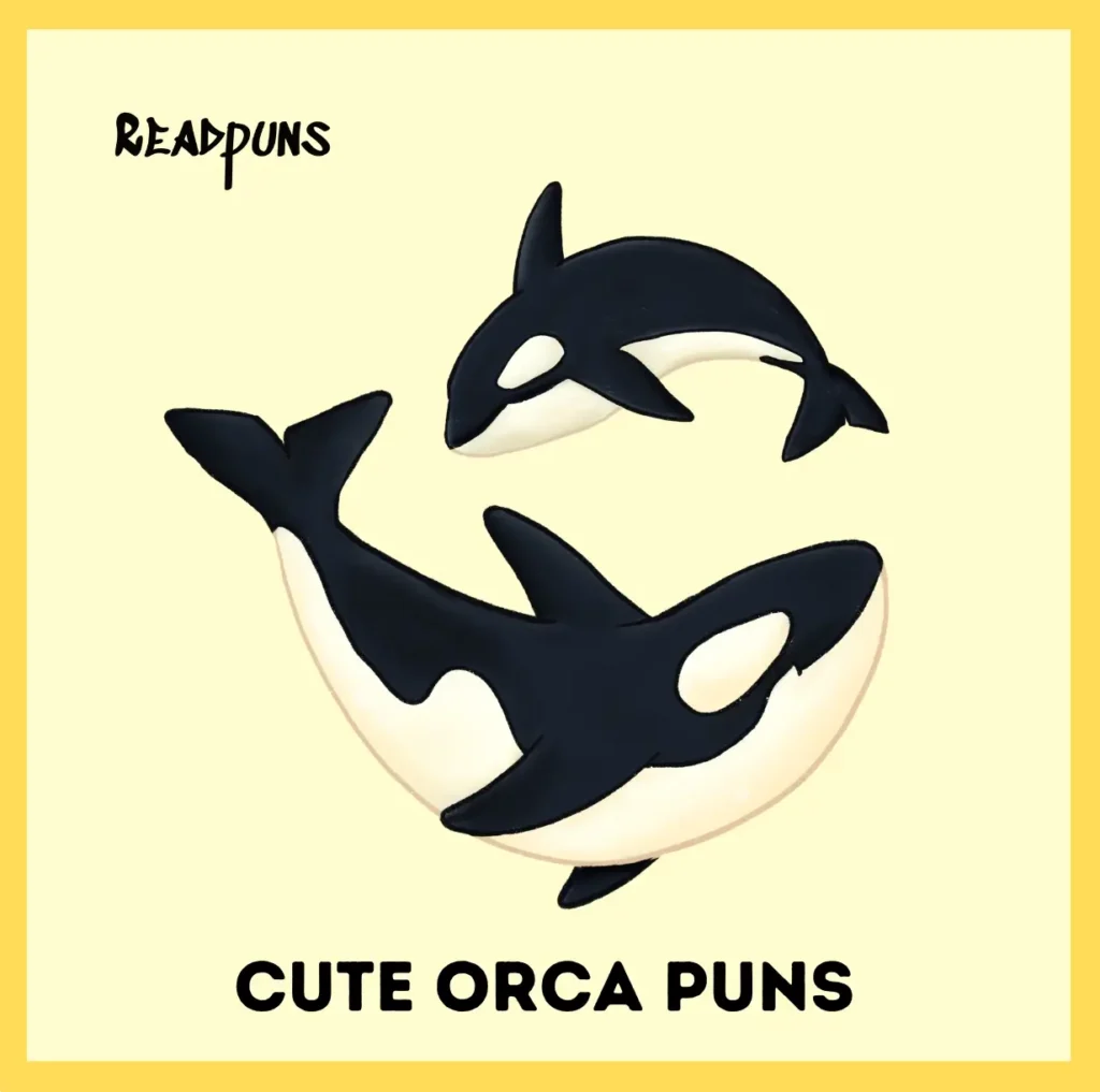 Cute Orca Puns