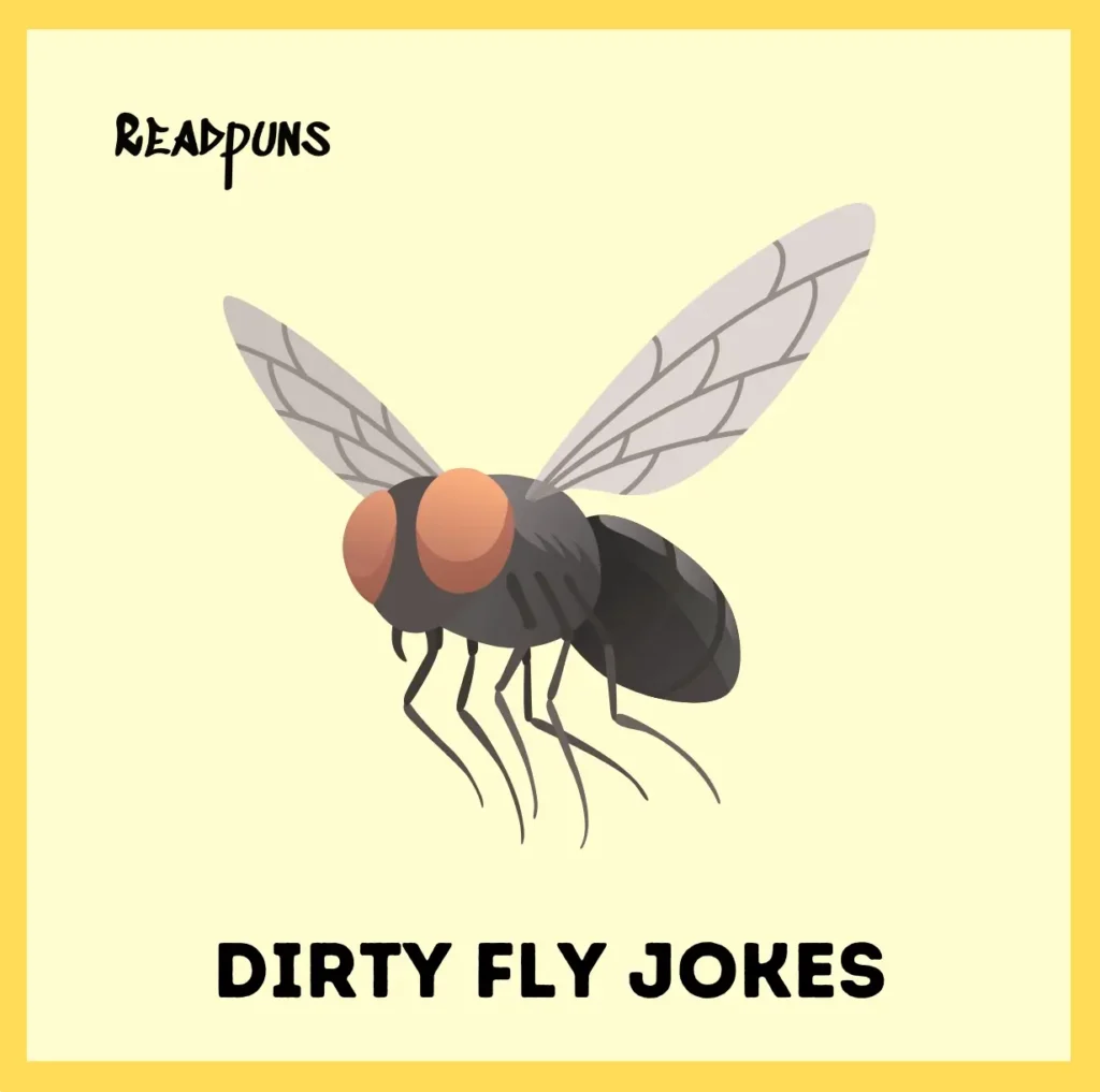 Dirty Fly Jokes