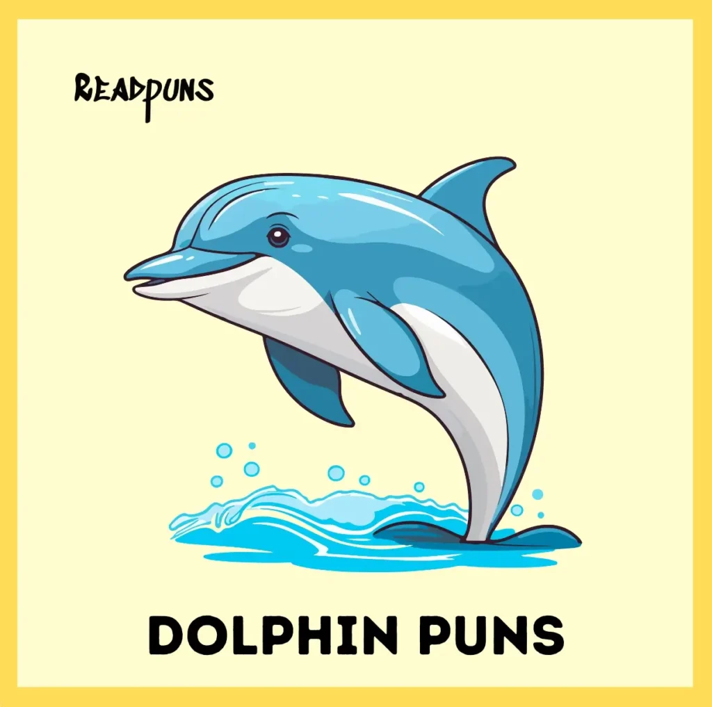 Dolphin Puns