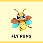 Fly Puns