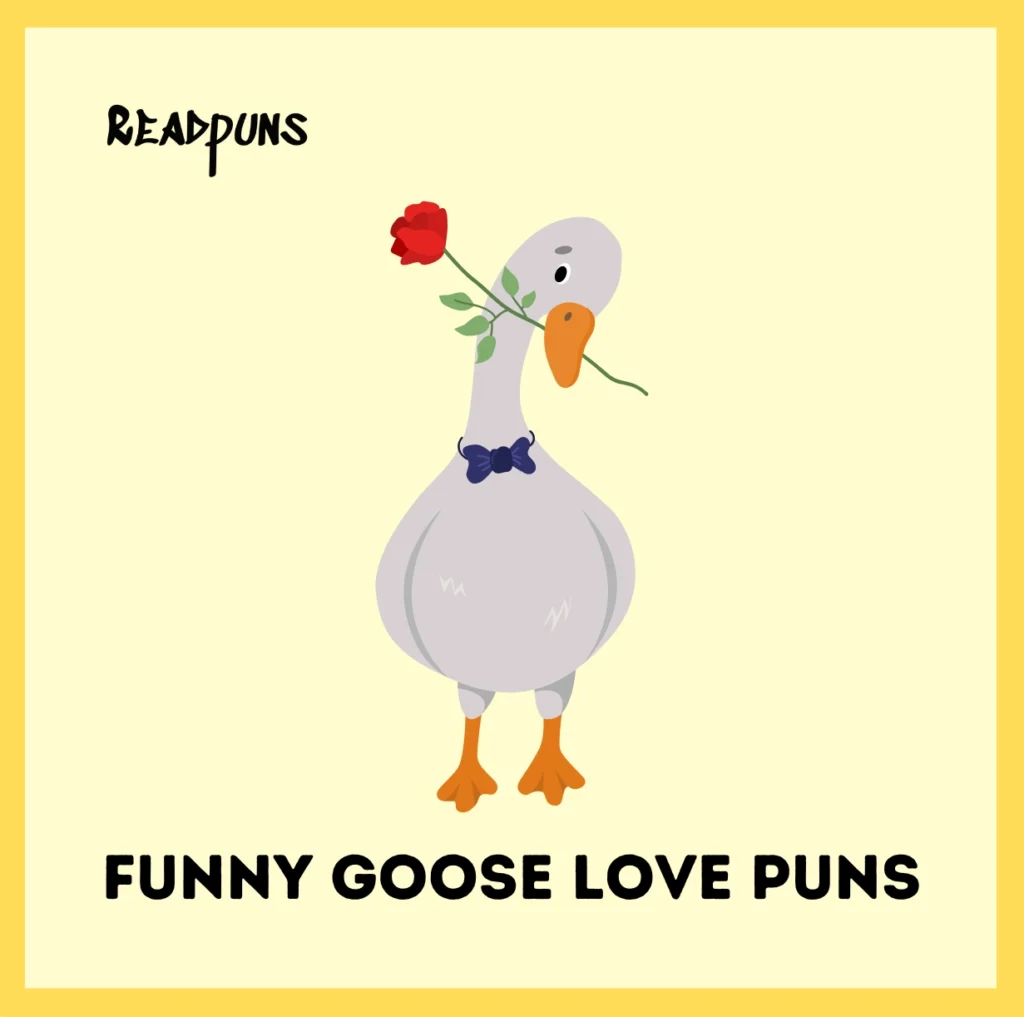 Funny Goose Love Puns