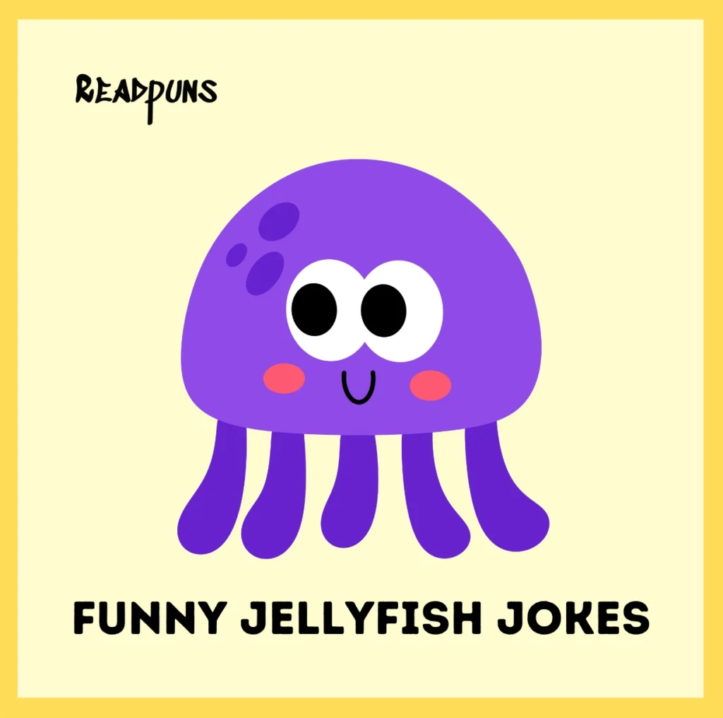 Funny Jellyfish Jokes